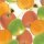 Fruit_Cotton_Canvas_1.JPG